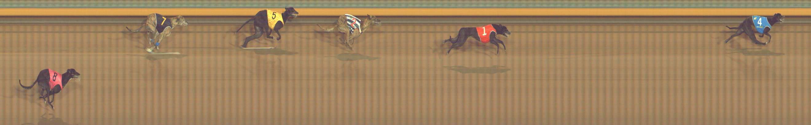 Photo finish for Bendigo Race 9