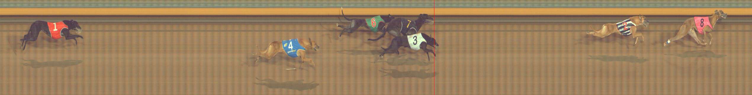 Photo finish for Bendigo Race 12