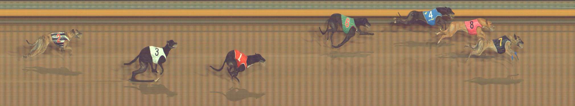 Photo finish for Bendigo Race 13
