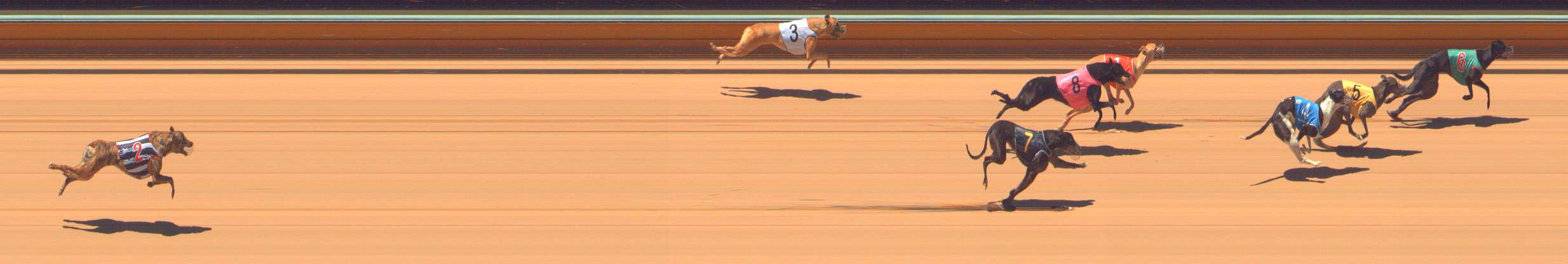 Race result finish photo