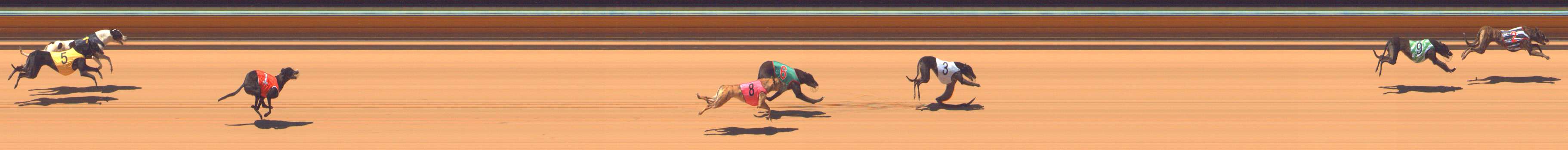 Photo finish for Bendigo Race 2