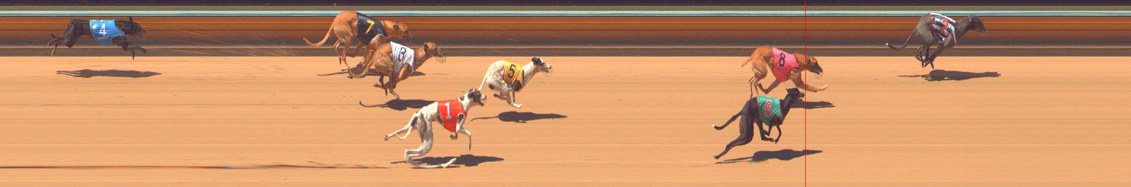 Photo finish for Bendigo Race 3