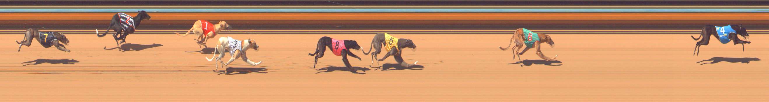 Photo finish for Bendigo Race 5