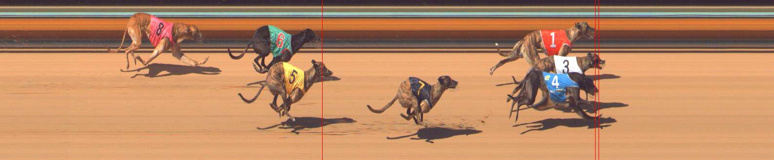 Photo finish for Bendigo Race 6