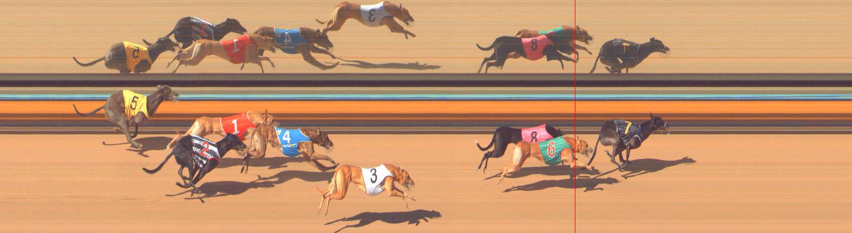 Photo finish for Bendigo Race 8