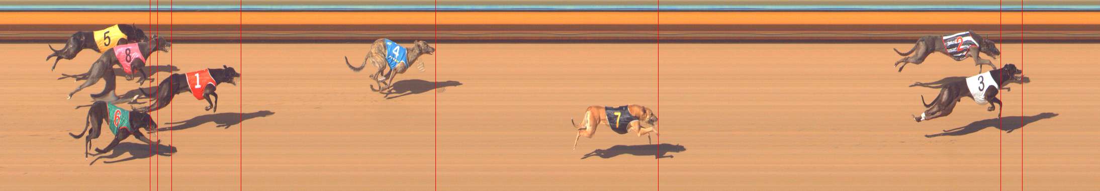 Photo finish for Bendigo Race 9
