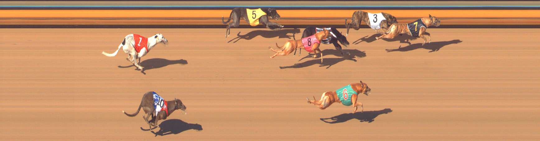Photo finish for Bendigo Race 10