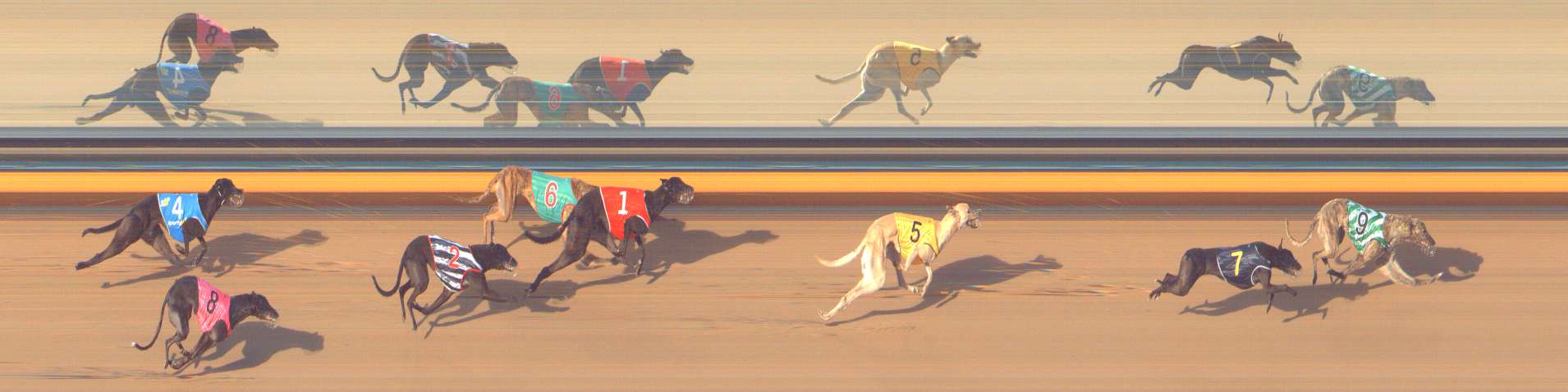 Photo finish for Bendigo Race 12