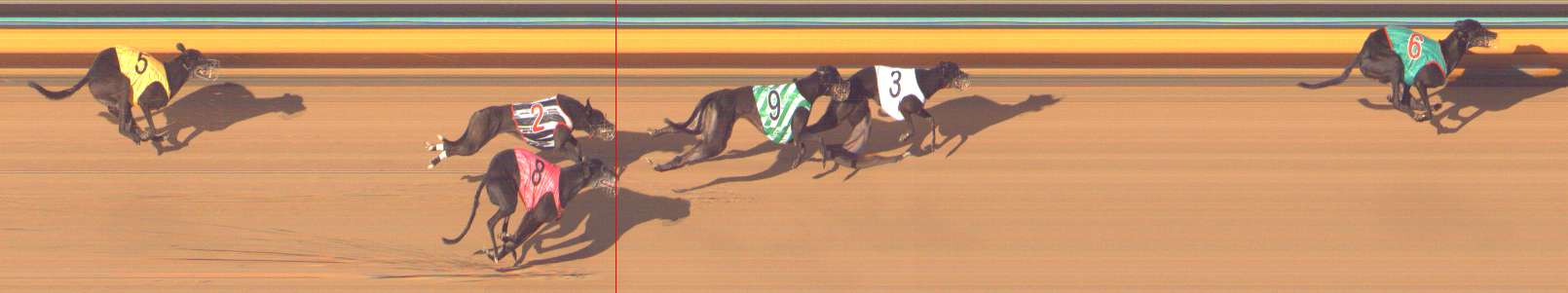 Photo finish for Bendigo Race 13