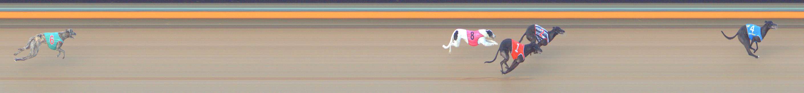 Photo finish for Bendigo Race 2