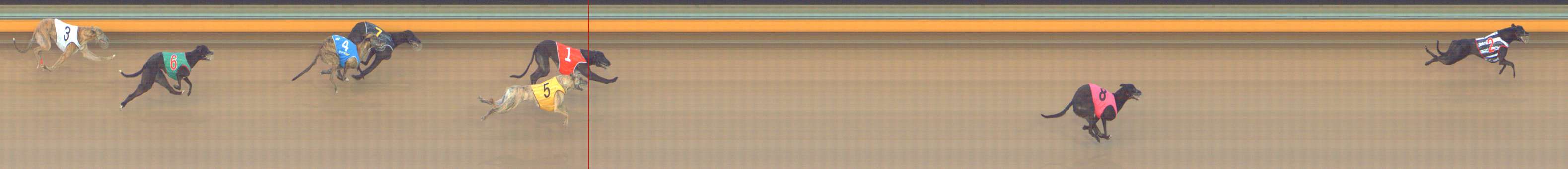 Race result finish photo