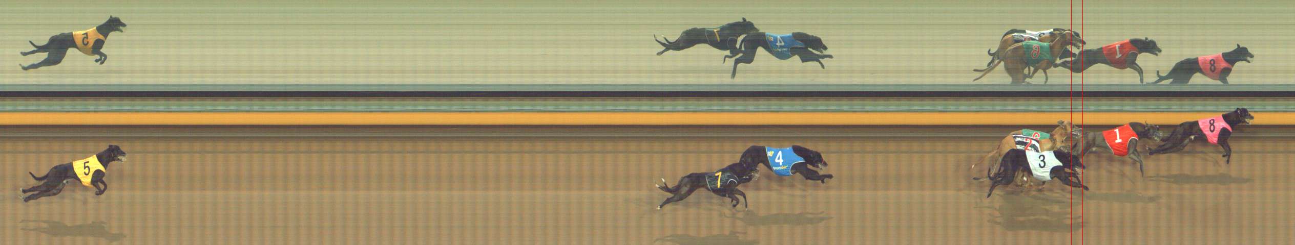 Photo finish for Bendigo Race 5