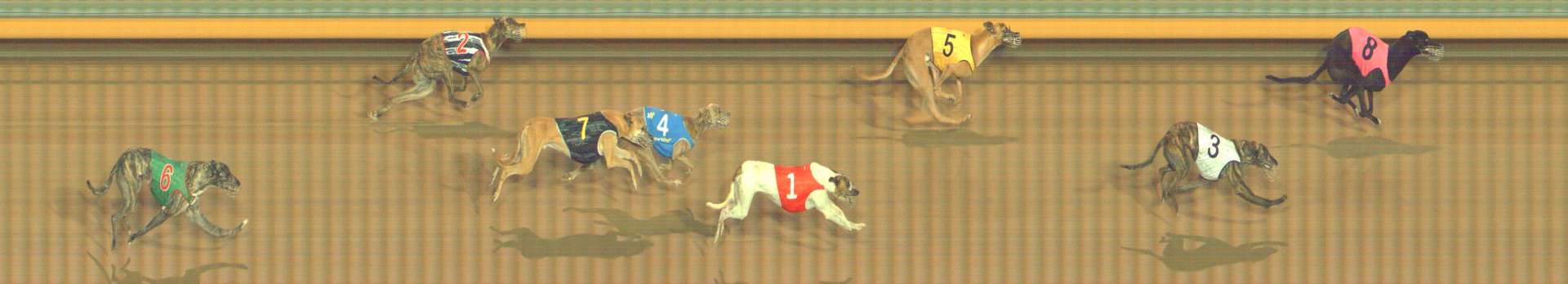 Race result finish photo