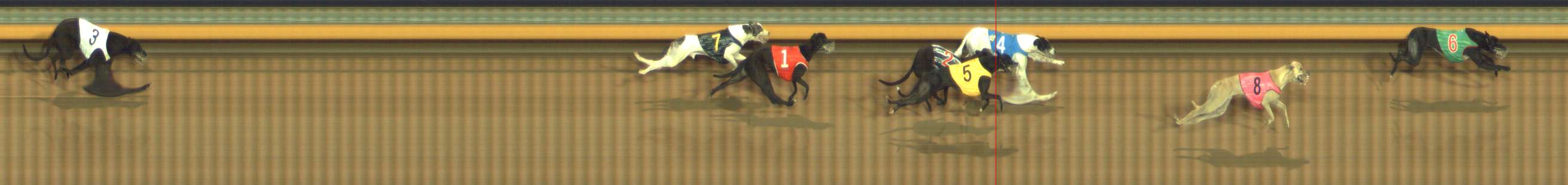 Photo finish for Bendigo Race 8