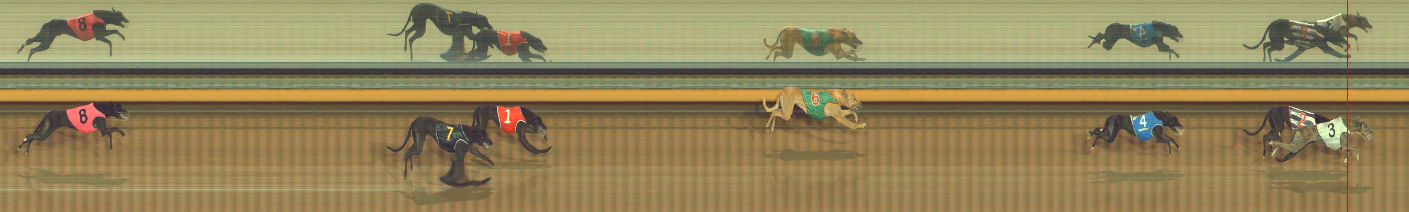 Photo finish for Bendigo Race 9