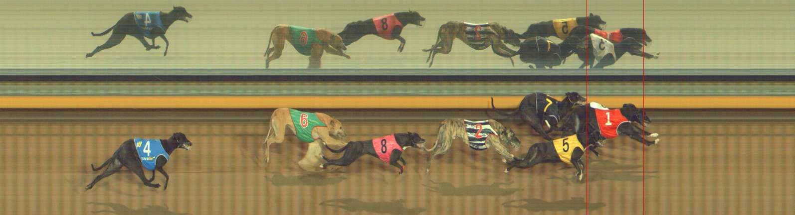Photo finish for Bendigo Race 10
