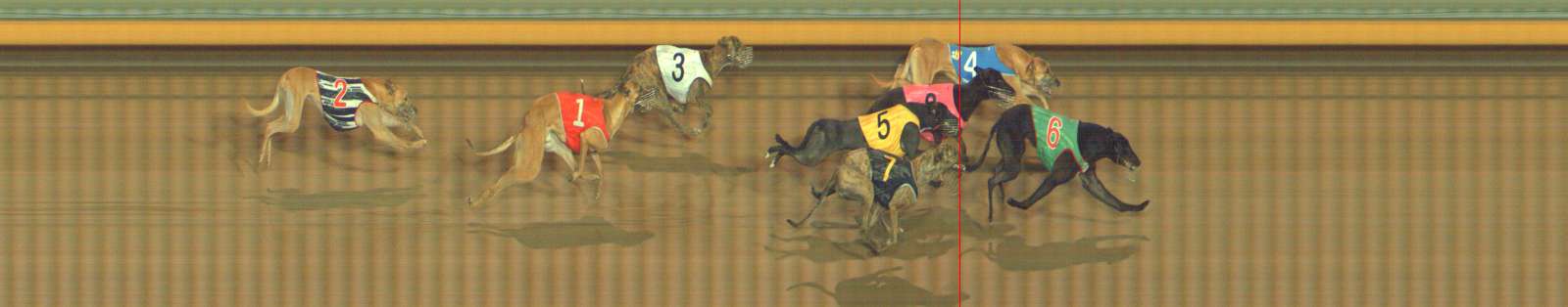 Photo finish for Bendigo Race 11