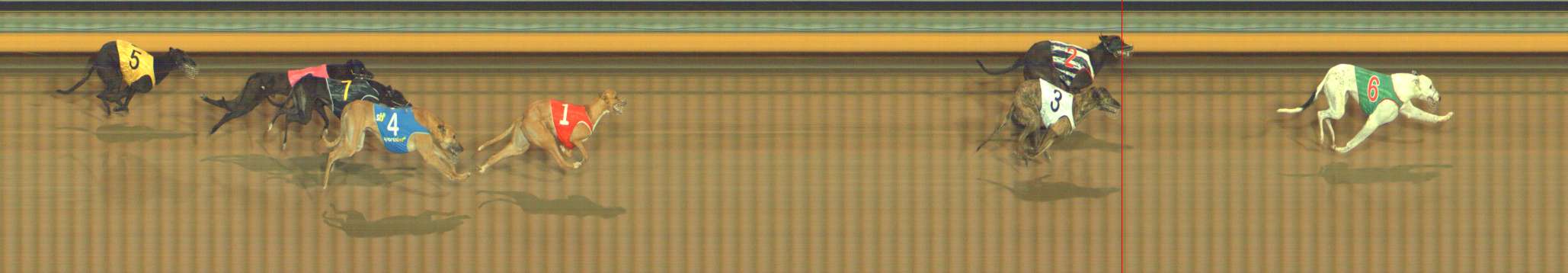 Photo finish for Bendigo Race 12