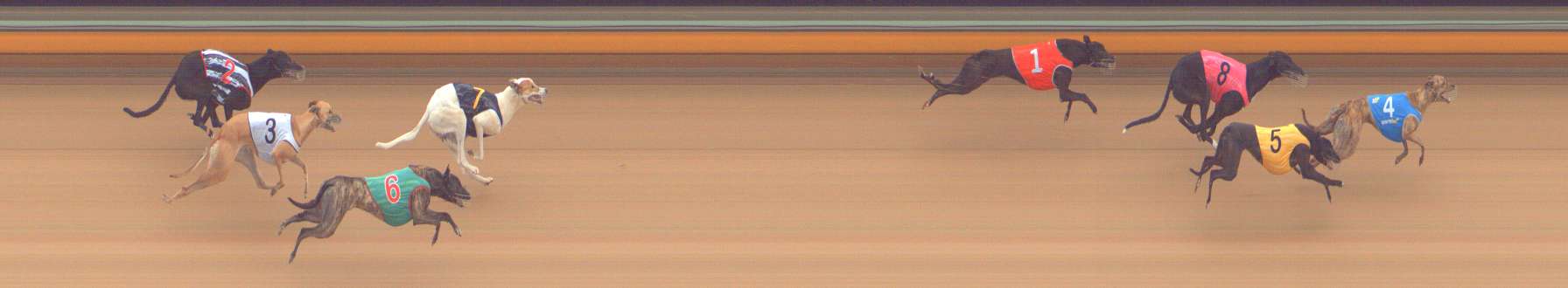 Photo finish for Bendigo Race 1