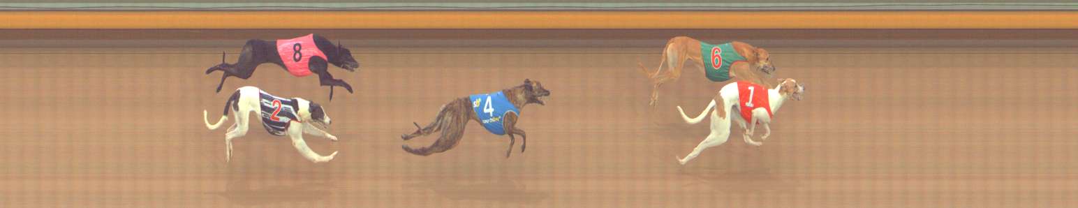 Photo finish for Bendigo Race 2