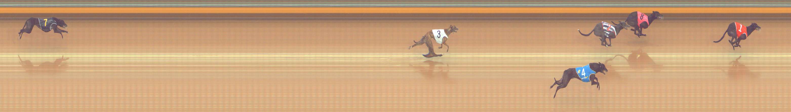 Photo finish for Bendigo Race 3