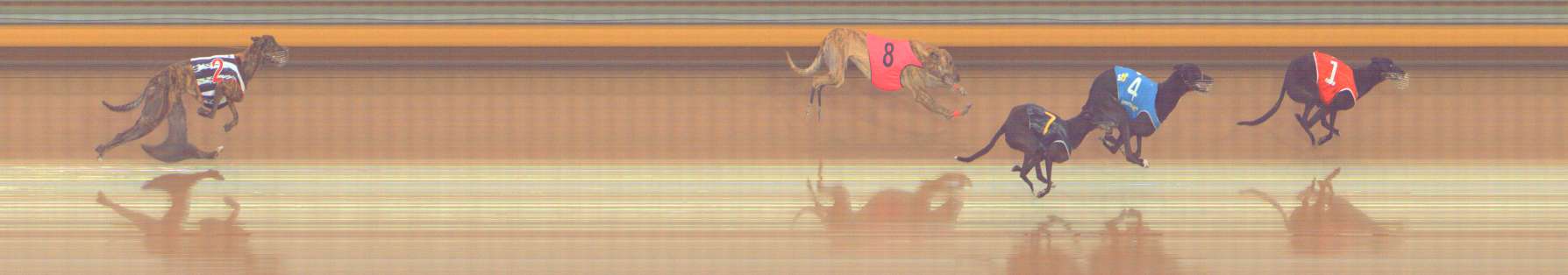 Photo finish for Bendigo Race 4