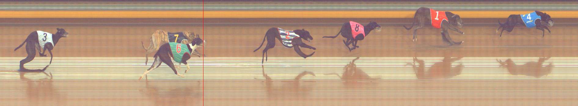 Photo finish for Bendigo Race 5