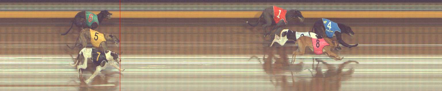 Photo finish for Bendigo Race 7