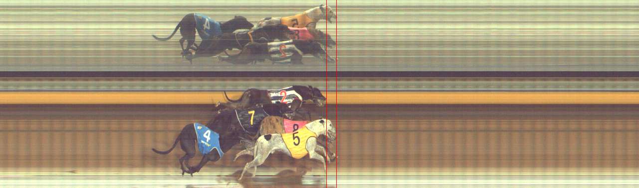 Photo finish for Bendigo Race 9