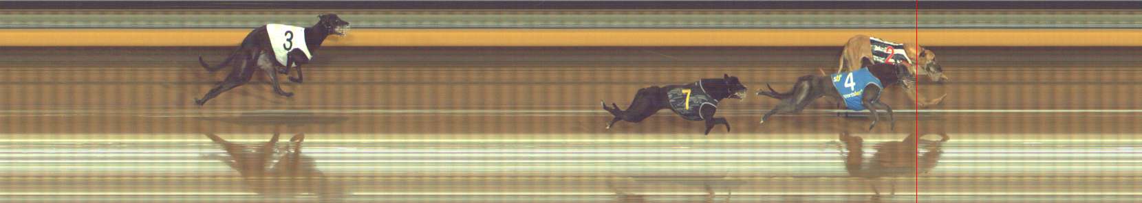 Photo finish for Bendigo Race 10