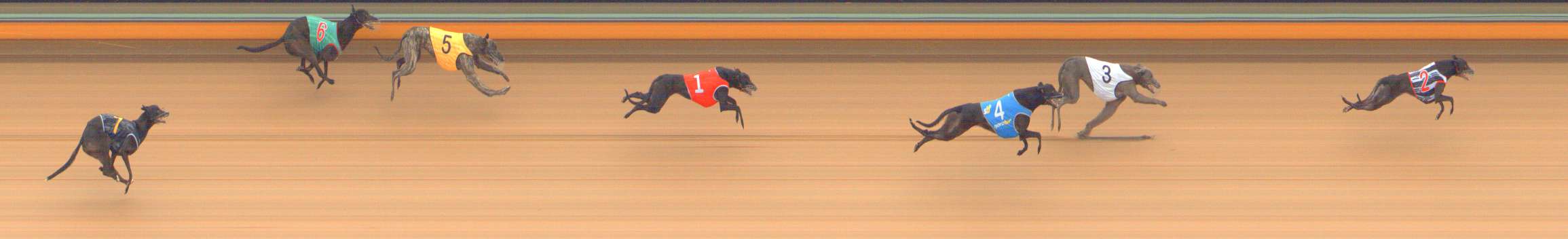 Photo finish for Bendigo Race 1