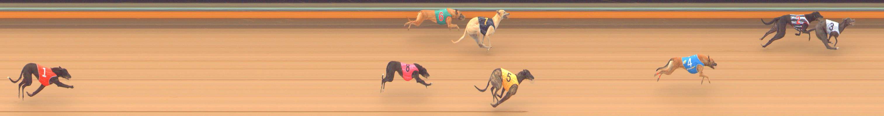 Photo finish for Bendigo Race 2