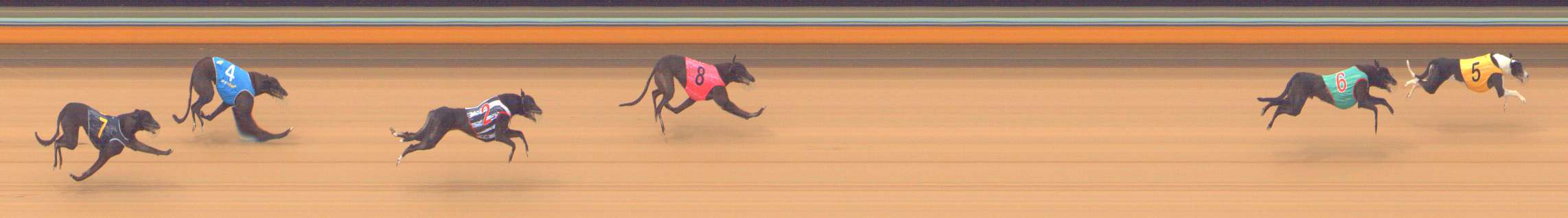 Photo finish for Bendigo Race 3