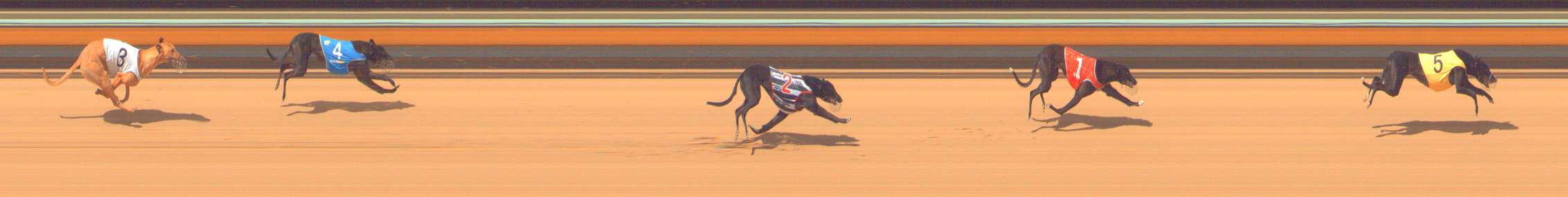 Photo finish for Bendigo Race 4