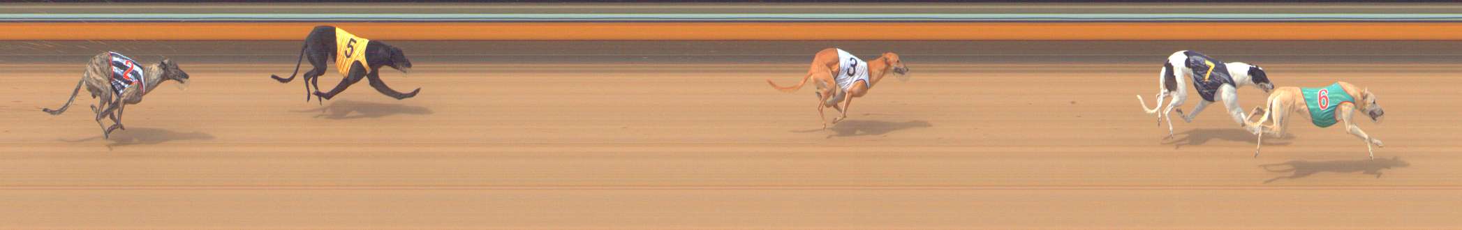 Photo finish for Bendigo Race 5