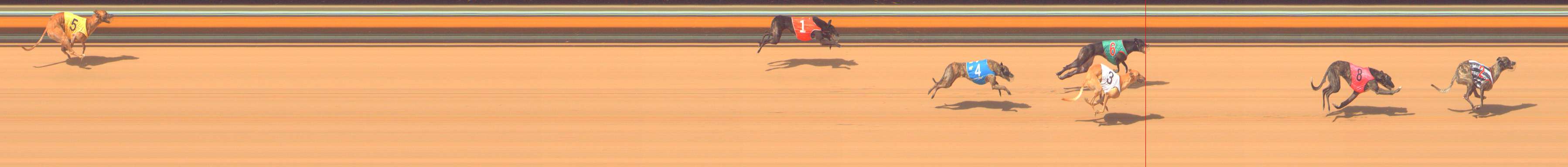 Photo finish for Bendigo Race 6