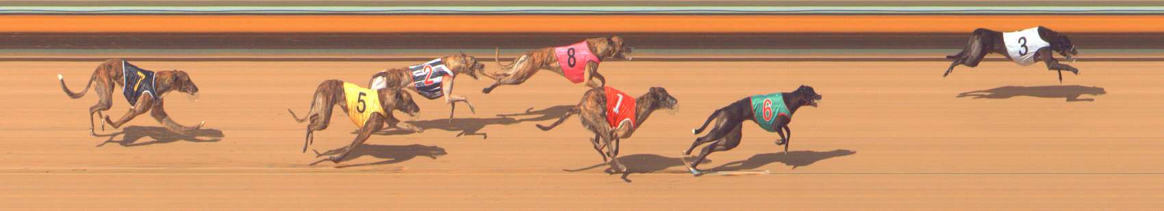 Photo finish for Bendigo Race 7