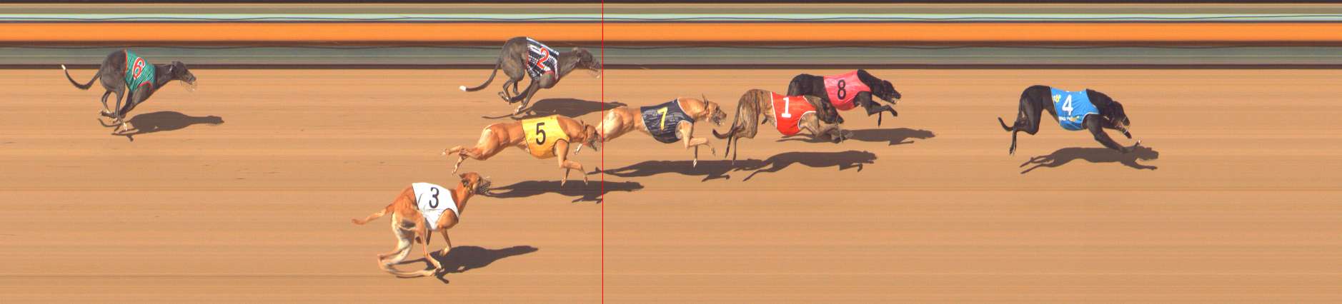 Photo finish for Bendigo Race 8