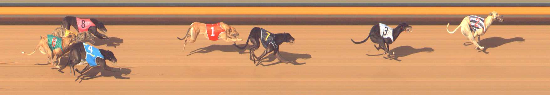 Photo finish for Bendigo Race 10