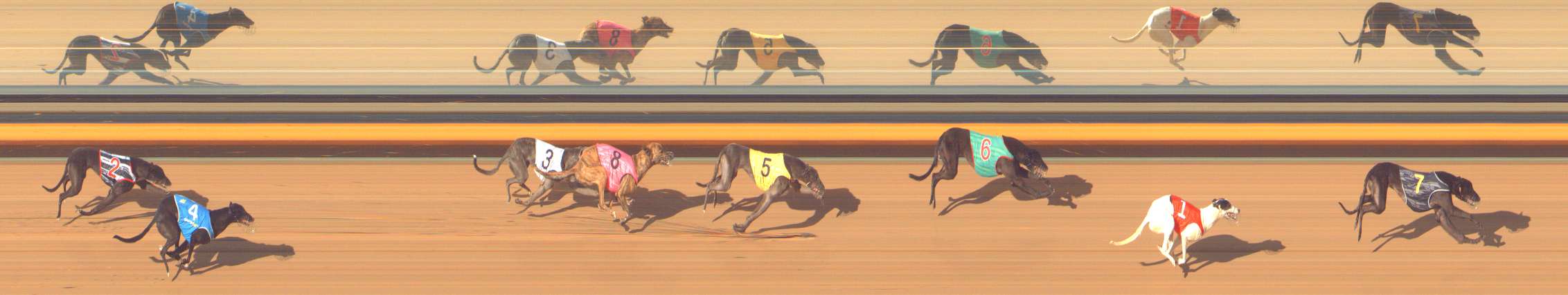 Photo finish for Bendigo Race 11