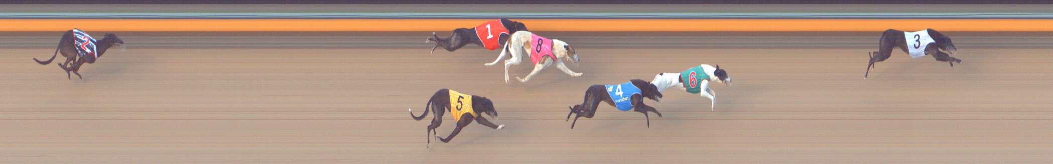 Photo finish for Bendigo Race 12