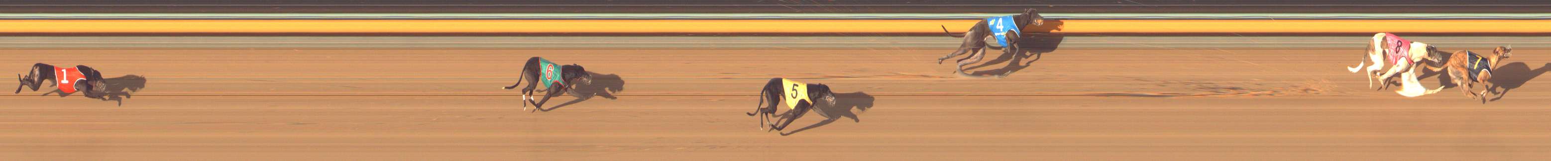 Photo finish for Bendigo Race 13