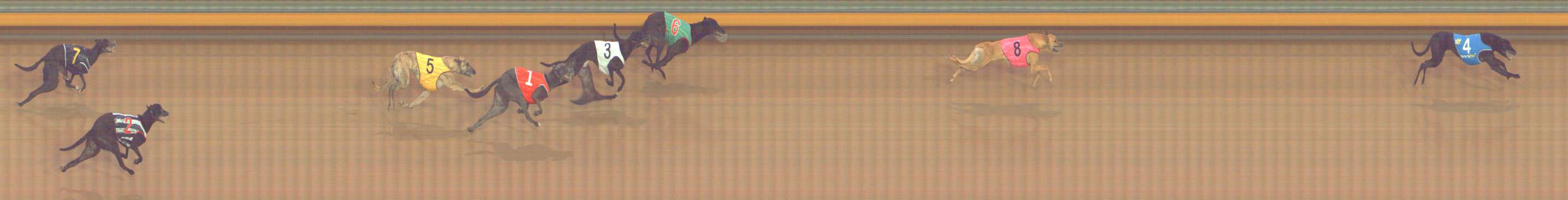 Photo finish for Bendigo Race 2