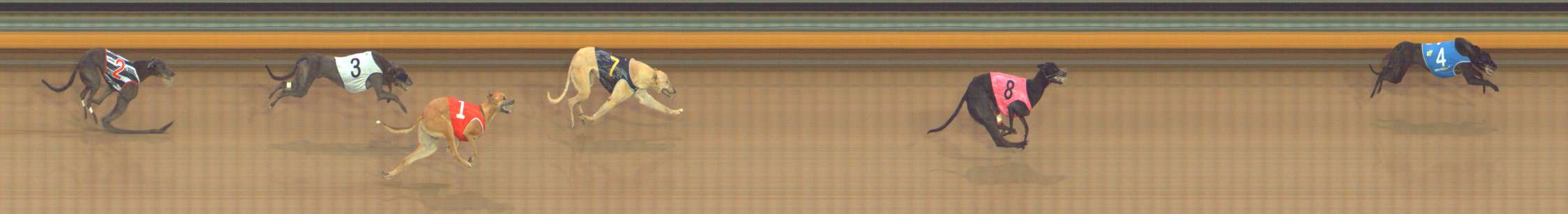 Photo finish for Bendigo Race 3