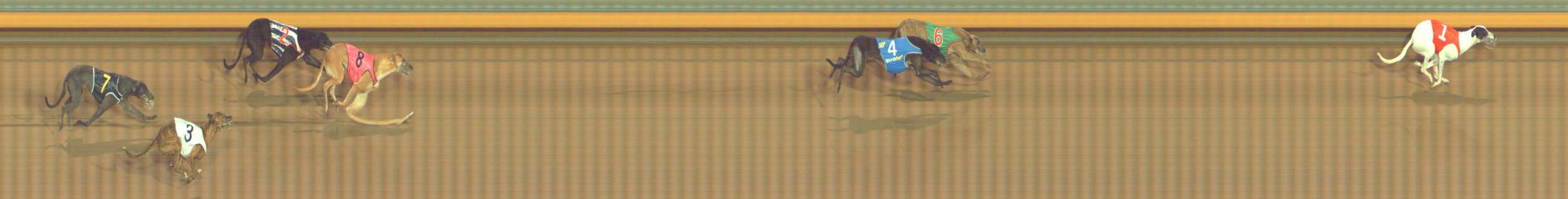 Photo finish for Bendigo Race 5
