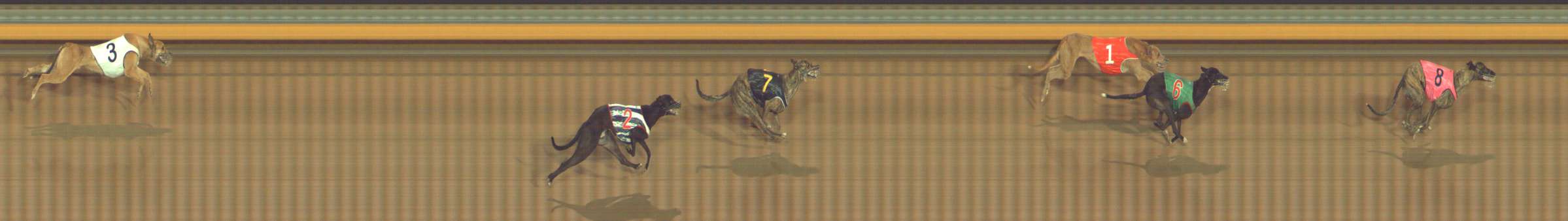Photo finish for Bendigo Race 6