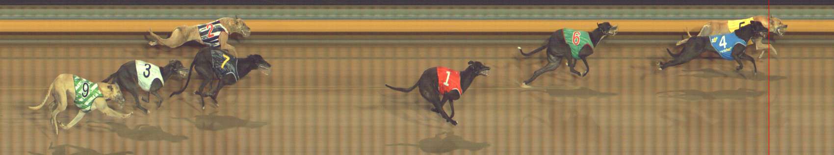 Photo finish for Bendigo Race 8