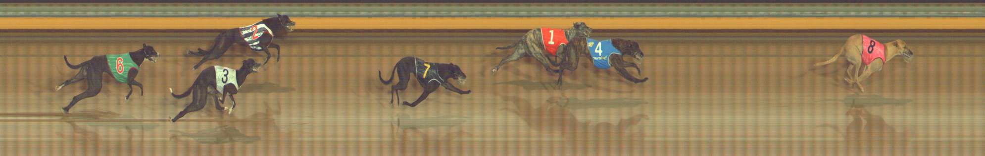Photo finish for Bendigo Race 10