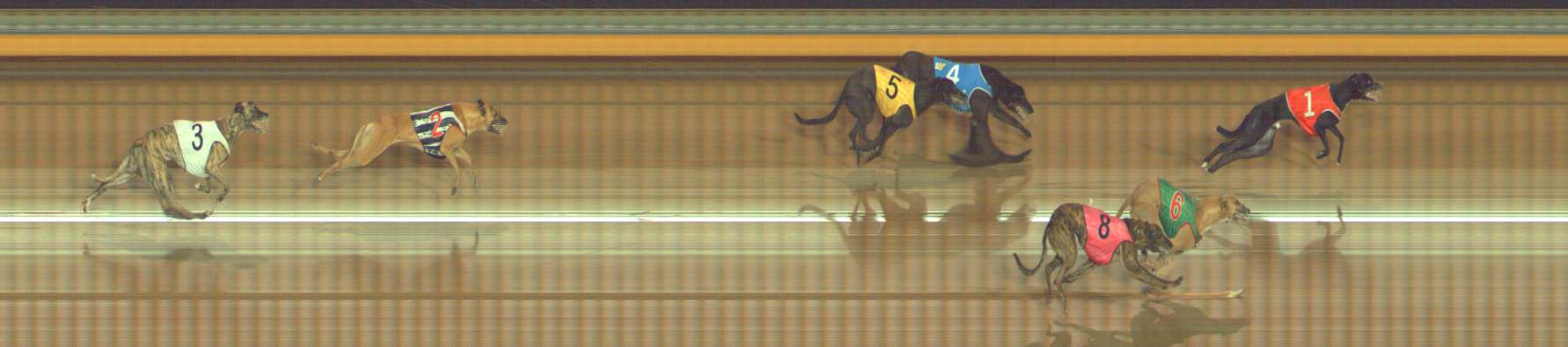 Photo finish for Bendigo Race 12