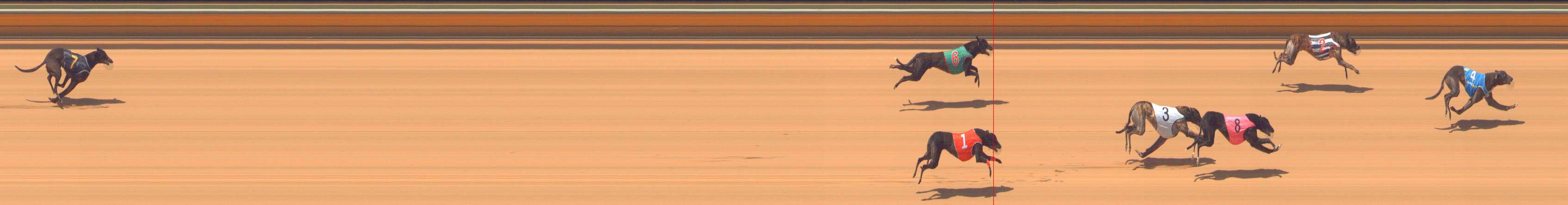 Race result finish photo